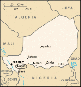 niger 3