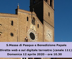 OLYMPUS DIGITAL CAMERA OLYMPUS DIGITAL CAMERA